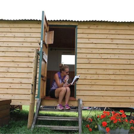Shepherdshuts-Southeast Hotel Ashford  Buitenkant foto