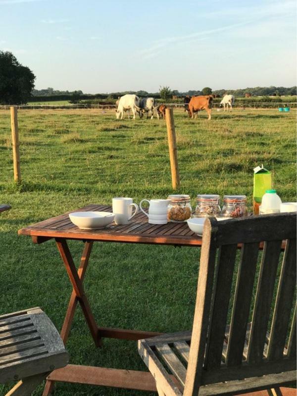 Shepherdshuts-Southeast Hotel Ashford  Buitenkant foto